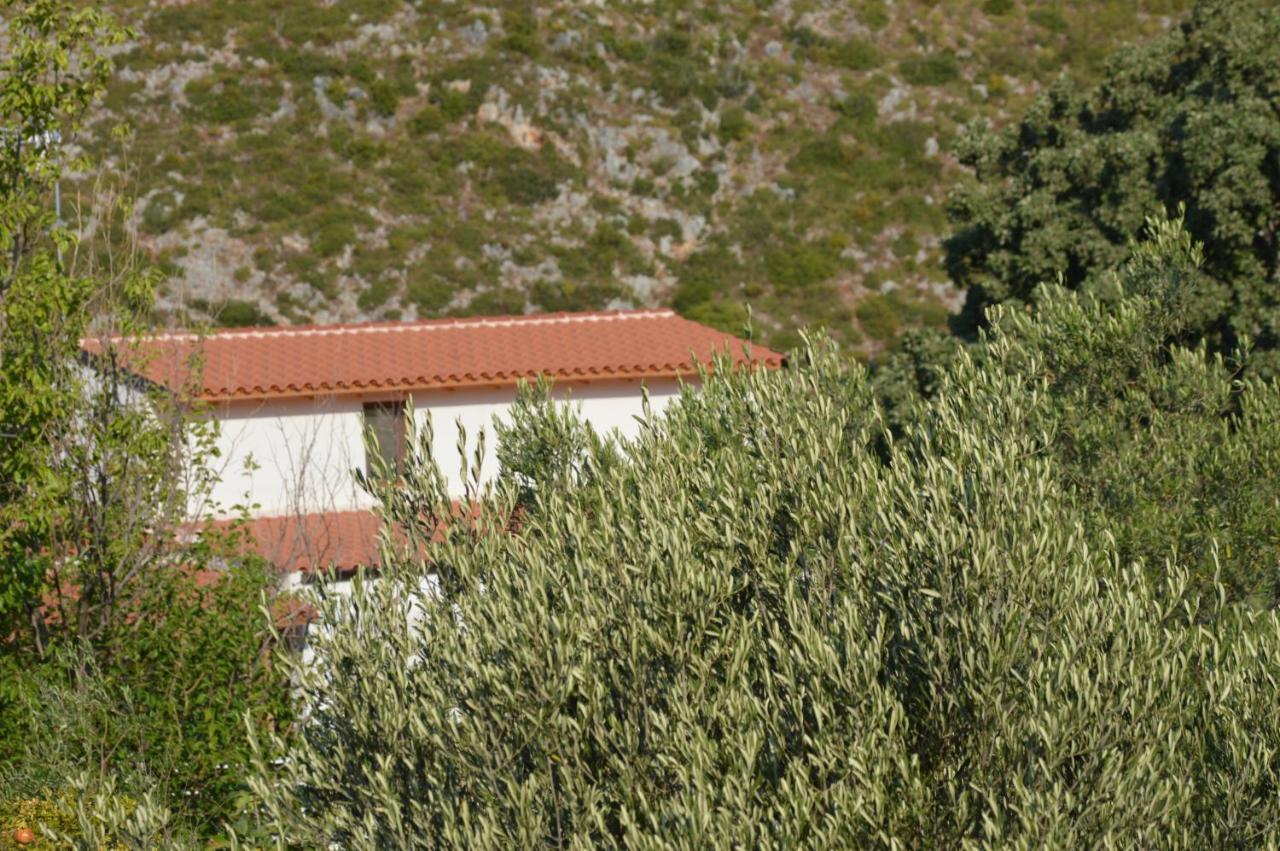 Tolis Rooms Himarë Exterior foto